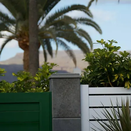 Relax Flor Tatil Evi