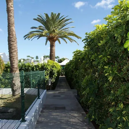 Relax Flor * מספאלומס